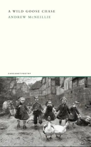 A Wild Goose Chase - Andrew McNeillie