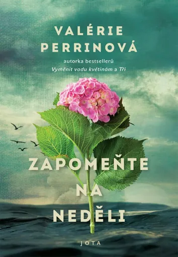 Zapomeňte na neděli (poškozená) - Valérie Perrinová