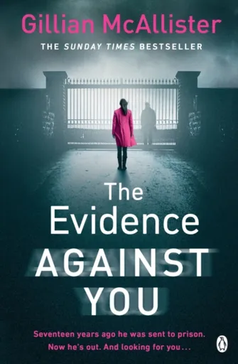 The Evidence Against You - Gillian McAllisterová