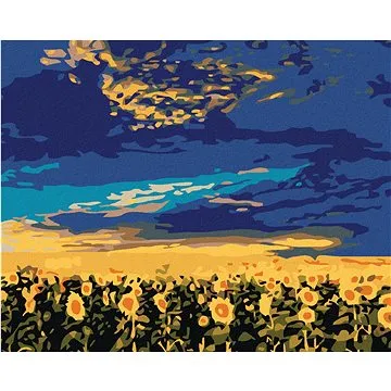 Diamondi - Diamantové malování - SLUNEČNICE, 40x50 cm, Vypnuté plátno na rám (606137B)