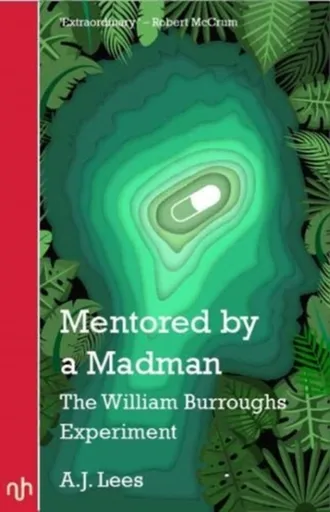 Mentored by a Madman - A.J. Lees