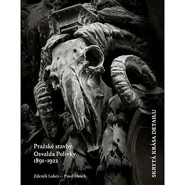 Skrytá krása detailu (9788025736210)