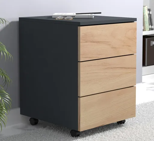 VCM Mobilní zásuvkový kontejner Dalosa 70 3-SB, dub medový