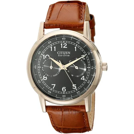 Citizen Eco-Drive AO9003-08E - 30 dnů na vrácení zboží