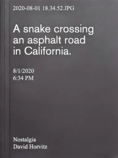 Nostalgia - David Horvitz
