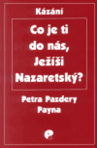 Co je ti do nás, Ježíši Nazaretský? - Petr Pazdera Payne