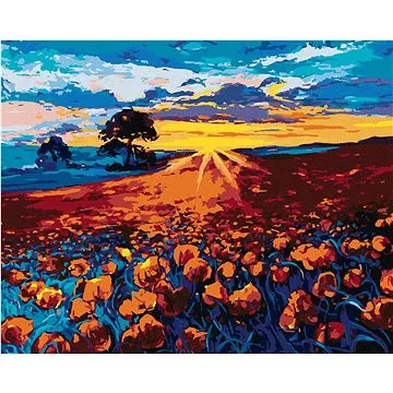 Zuty - Malování podle čísel - VLČÍ MÁK, 80x100 cm, vypnuté plátno na rám (HRAmmb08475nad)