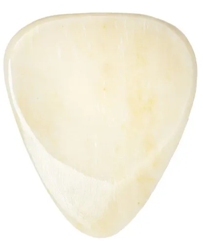 Timber Tones Bone Tones Buffalo Bone