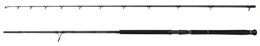 Savage gear prut defiance sg2 shore jigging 2,9 m 15-60 g 2-díl