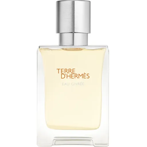 HERMÈS Terre d’Hermès Eau Givrée parfémovaná voda plnitelná pro muže 50 ml
