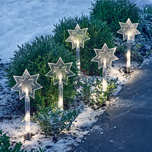 5 zahradních zápichů Hvězda Gainsborough