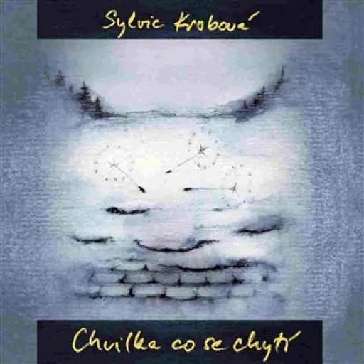 Chvilka, která se chytí - Sylvie Krobová