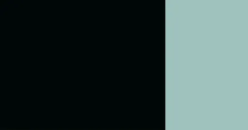 Kvašová barva Schmincke 20ml – 788 ivory black