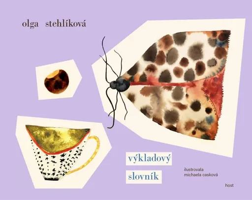 Výkladový slovník (poškozená) - Olga Stehlíková