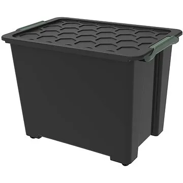 Rotho Evo Safe 65L (1008208080R)