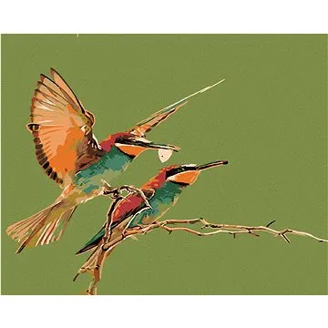 Diamondi - Diamantové malování - DVA KOLIBŘÍCI, 40x50 cm, Vypnuté plátno na rám (603982B)