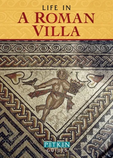 Life in a Roman Villa - Brian Williams, Williams Brenda