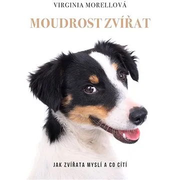 Moudrost zvířat (978-80-759-7623-9)