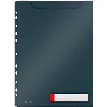 LEITZ Cosy A4, PP, netransparentní, šedá, 3 ks (46680089)