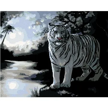 Zuty - Malování podle čísel - BÍLÝ TYGR A ŘEKA (D. RUSTY RUST), 80x100 cm, vypnuté plátno na rám (HRAmmb01097nad)