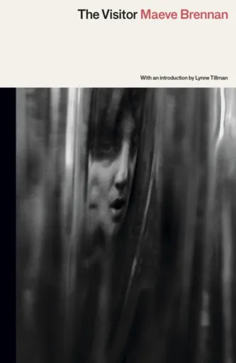 The Visitor - Maeve Brennan