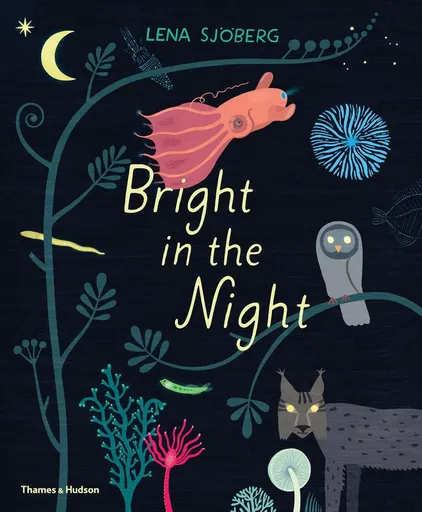 Bright in the Night - Lena Sjöberg