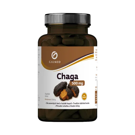 Galmed Chaga 500 mg 90 kapslí