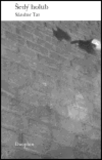 Šedý holub - Sándor Tar