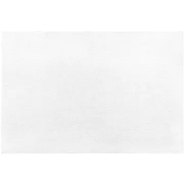 Bílý koberec 200x300 cm DEMRE, 68576 (beliani_68576)