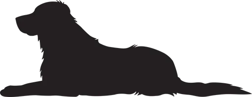 Vsepropejska Zlatý retrívr 3 dřevěná dekorace na zeď Rozměr (cm): 15 x 38