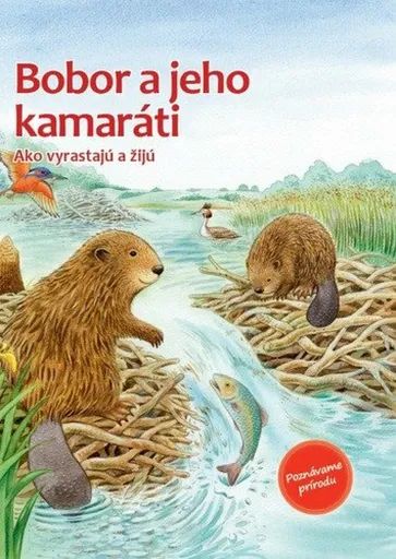 Bobor a jeho kamaráti - Friederun Reichenstetterová