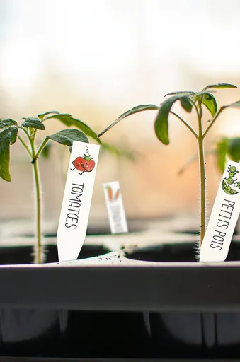 DIY sada štítků na rostliny Graine Creative Crazy Plastic Kit