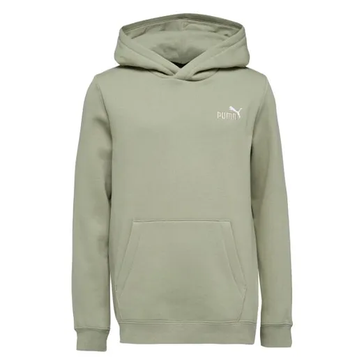 Puma ESSENTIALS 2 COL SMALL LOGO HOODIE FL B Chlapecká mikina, khaki, velikost