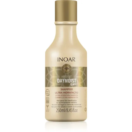 INOAR Absolut Daymoist CLR™ intenzivně hydratační šampon pro suché a barvené vlasy 250 ml