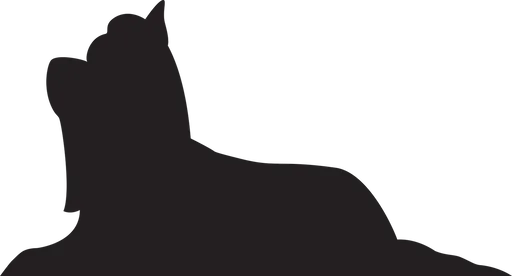 Vsepropejska Jorkšírský teriér 10 dřevěná dekorace na zeď Rozměr (cm): 21 x 38