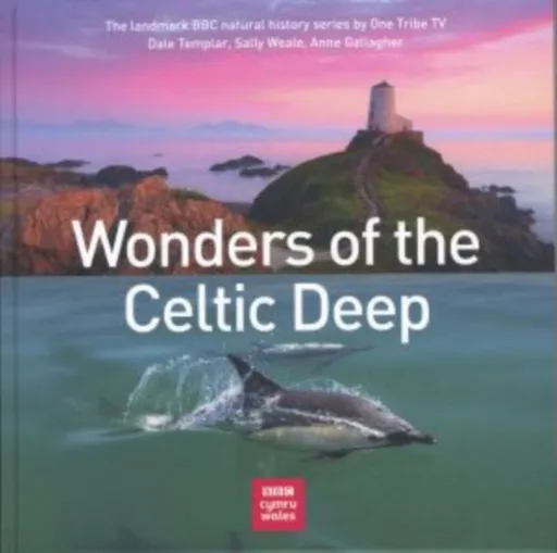 Wonders of the Celtic Deep - Anne Gallagher, Sally Weale, Dale Templar