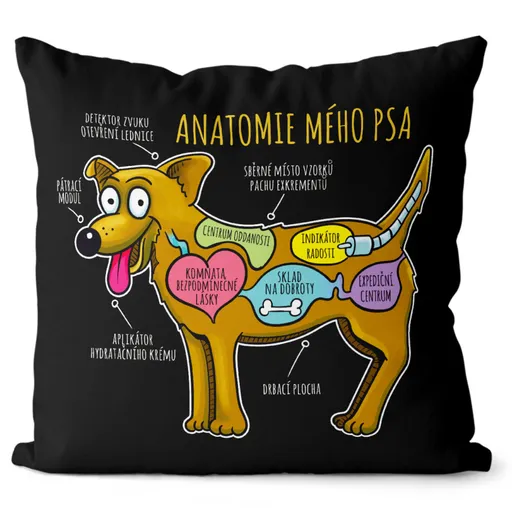 Polštář Anatomie mého psa (Velikost: 55 x 55 cm)