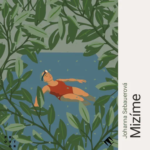 Mizíme - Johanna Sebauerová - audiokniha