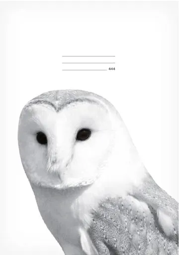 Školní sešit LUX A4 444 Sova