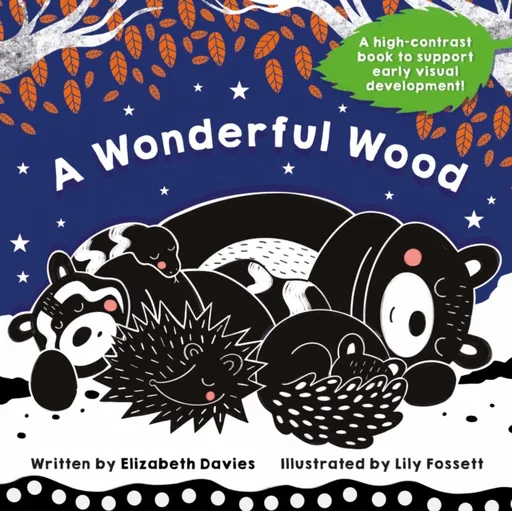 A Wonderful Wood: A Black-and-White High-Contrast Storybook for Newborns and Children aged 0-5 - Elizabeth Davies