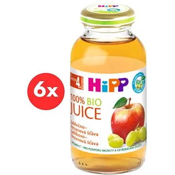 HiPP BIO Jablečno-hroznová šťáva - 6× 200 ml (9062300402497)