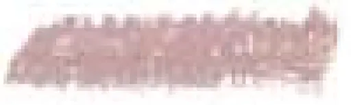 Sennelier olejový pastel 5ml – 209 Violet Ochre