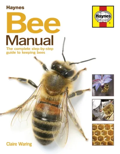 Bee Manual - Claire Waring