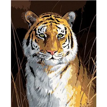 Zuty - Malování podle čísel - TYGR (ROBERT HAUTMAN), 80x100 cm, vypnuté plátno na rám (HRAmmb04887nad)