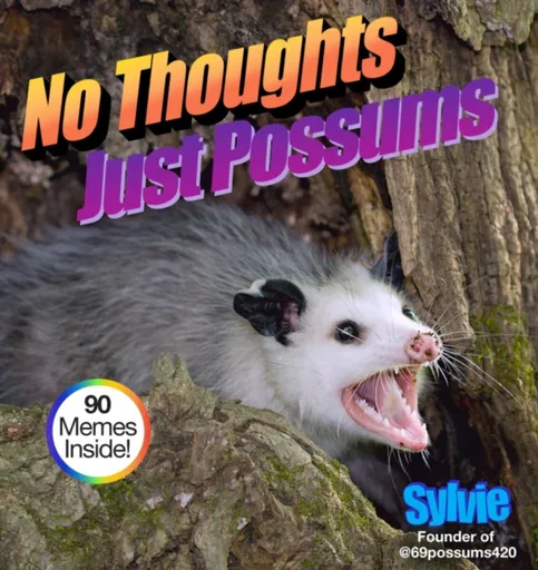 No Thoughts Just Possums - Sylvie Sylvie