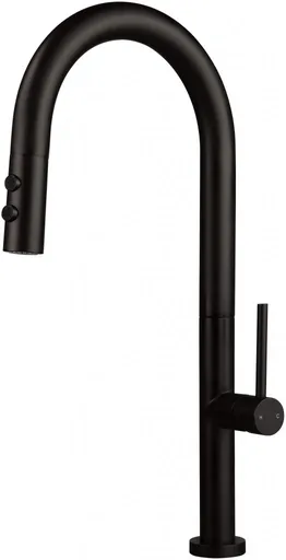DEANTE Olfato nero Kuchyňská baterie, s vytahovací hubicí 2 typy proudu BQO_N72M