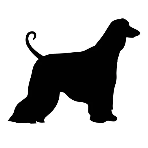 Vsepropejska Mag magnet na lednici ve tvaru psa Plemeno: Afghánský chrt