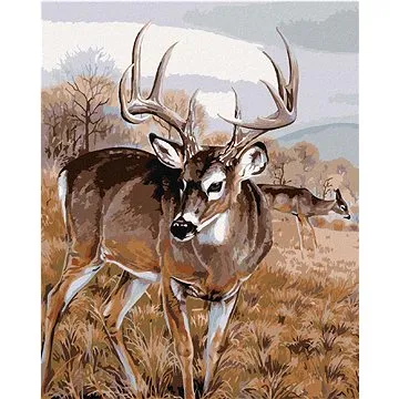 Zuty - Malování podle čísel - JELEN S DRUŽKOU NA LOUCE (AL AGNEW), 80x100 cm, vypnuté plátno na rám (HRAmmb05879nad)