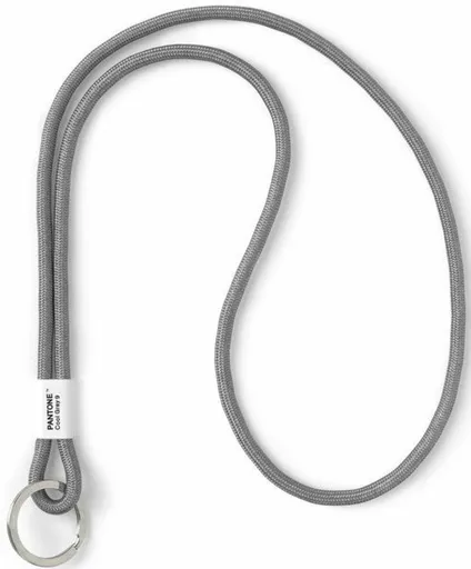 PANTONE Poutko na klíče L - Cool Gray 9