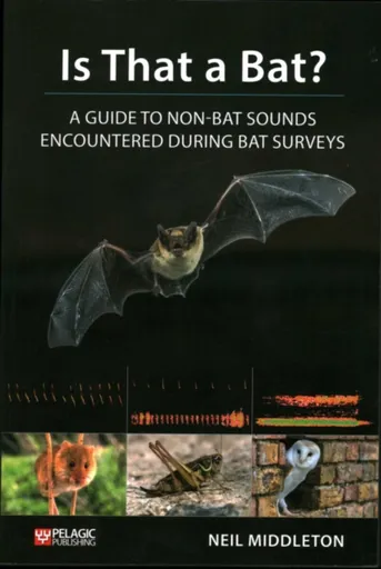 Is That a Bat? - Neil Middleton